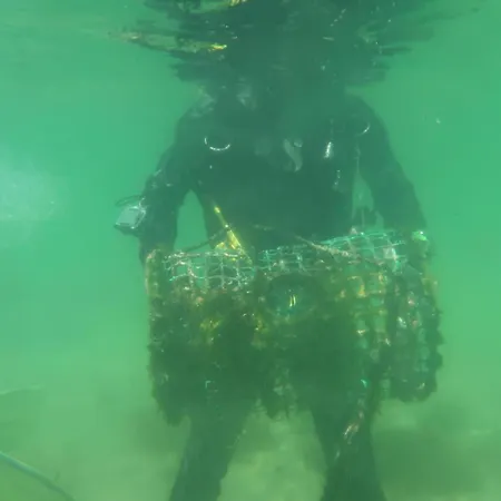 Impact House 旅馆 *